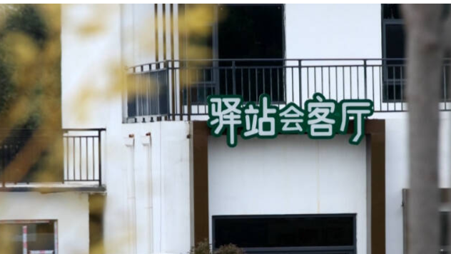 齊河：依托沿黃生態廊道 實現村鎮綠美“大蝶變”